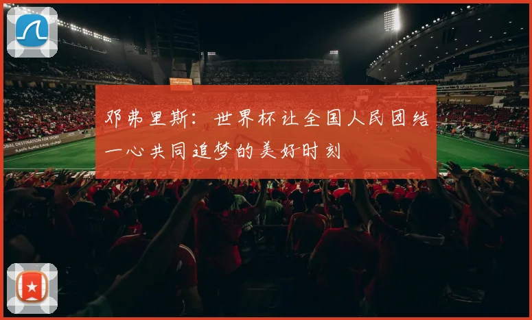 邓弗里斯：世界杯让全国人民团结一心共同追梦的美好时刻